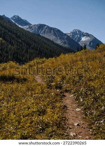 A narrow path winds through a meadow with vibrant green and yellow vegetation. Towering mountains covered with patches of snow dominate the background under a clear blue sky.