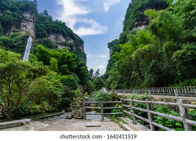 Narrow Road Between A Lush Valley Of Vegetation That Leads To Baofeng Lake In Suoxi Valley, Wulingyuan Area, China
