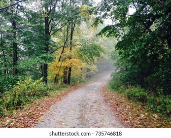A narrow road or path into the fall woods.