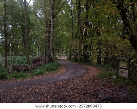 Similar – Image, Stock Photo Narrow road through green mountainsides