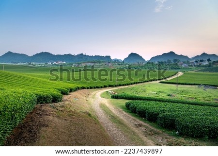 Image, Stock Photo Narrow road through green mountainsides
