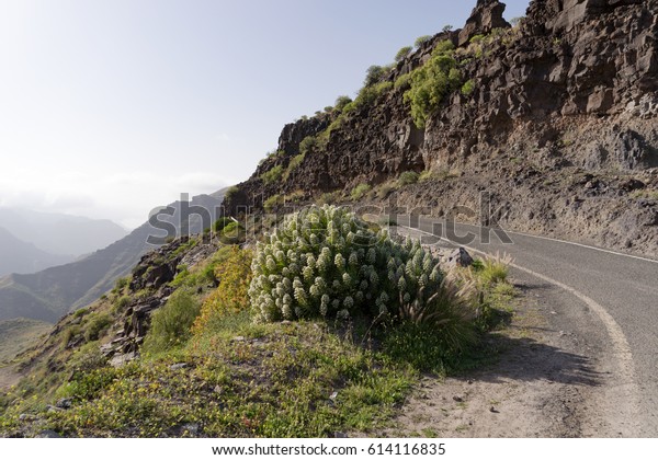 Narrow road through the mountains on the island
of Gran Canaria