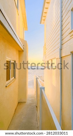 Narrow sandy pathway between two yellow beach houses leads toward the beautiful calm ocean horizon during a bright sunny afternoon
