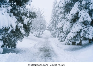 A narrow snow-cleared pathway winds through a magical winter wonderland flanked by heavily snow-laden trees and a rustic picnic bench
