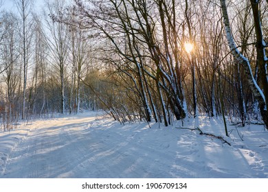 Narrow Snowy Forest Road On A Sunny Winter Day