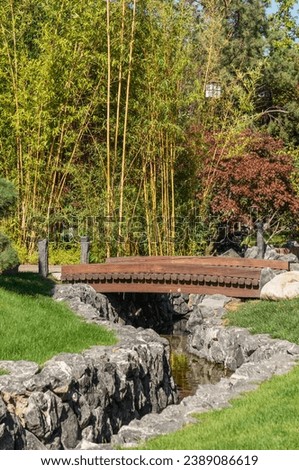 Narrow stone bed of artificial river flowing through territory of Japanese garden. River bed with wooden bridge against backdrop of bamboo thickets. Bamboo grove. Krasnodar.