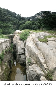 A narrow stream flows through a deep rocky ravine surrounded by a lush green forest under an overcast sky.