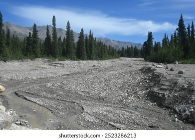 Narrow stream winds its way through bide rocky alluvial river bed in Denali Park. Bordered by deep green evergreens trees. Blue skies with high white clouds - Powered by Shutterstock