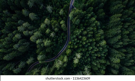 Calle estrecha entre bosques, vista de drones