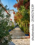 narrow street with flowers on the greek island of hydra