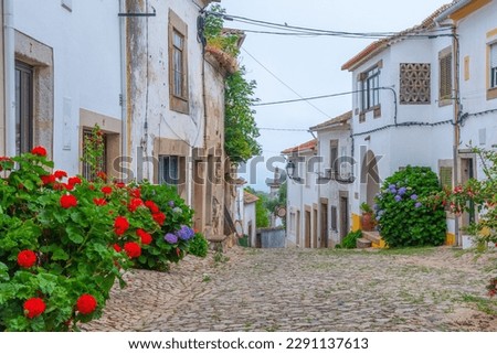 Narrow street in the old town in Portuguese village Castelo de Vide.