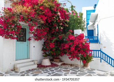 Narrow street of the old town. Traditional, withe architecture and a stone path with white joints. Parikia, Paros Island, Greece. Red Bougainvillea.