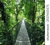 A narrow suspension bridge in Costa Rica stretches over a lush jungle canopy, with wooden planks and rope railings. Sunlight filters through dense green foliage, creating a serene, adventurous scene.