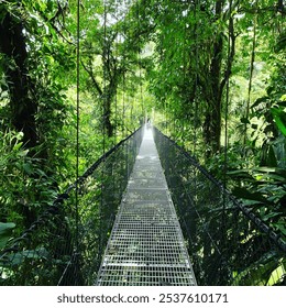 A narrow suspension bridge in Costa Rica stretches over a lush jungle canopy, with wooden planks and rope railings. Sunlight filters through dense green foliage, creating a serene, adventurous scene. - Powered by Shutterstock