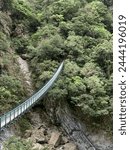 Narrow Suspension bridge hangs across river in steep canyon in Taroko National Park, Taiwan, spanned right into the woods. 