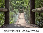 A narrow suspension bridge made of wooden planks, supported by metal chains and ropes. is situated in a dense, green forest. Wooden railings run along both sides of the bridge.