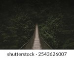 A narrow suspension bridge stretches through dense, dark forest. The bridge, surrounded by lush greenery, creates a mysterious background and adventurous atmosphere.