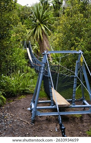 Narrow swing bridge in the cloud forest on the slopes of the Taranaki, a volcano on North Island, New Zealand. Part of the Enchanted Track in the so-called goblin forest
