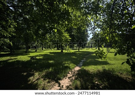 Similar – Image, Stock Photo Path in an oak grove path