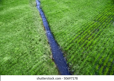 A narrow water river stream going through a green grass field landscape.
