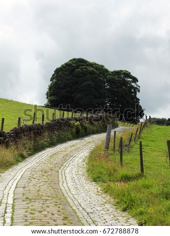 narrow winding country lane with stone walls cobbles fences and trees in summer