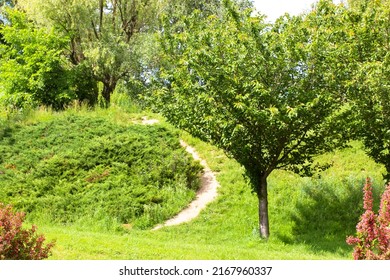 A Narrow Winding Path Leading Up A Hill In Summer Or Spring Garden, Park. Recreation In Nature. Landscaping. Green Deciduous Trees, Grass, Blossoming Bushes With Flowers. Beautiful Ukrainian Landscape