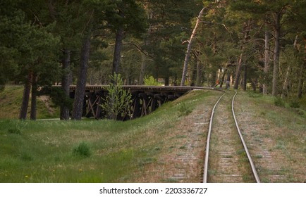 Narrow-gauge Railway In A Forest (public Park). Idyllic Landscape. Ventspils, Latvia. National Landmarks, Retro Transport, History, Past, Historical Reenactment, Recreation Concepts