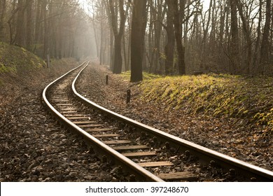 Narrow-gauge railway tracks curve in the forest - Powered by Shutterstock