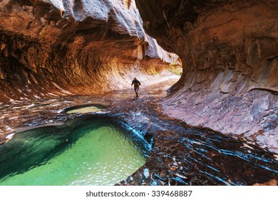 Narrows In Zion National Park, Utah