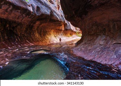 Narrows In Zion National Park, Utah