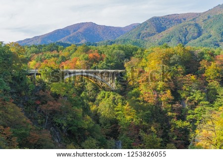 Naruko Gorge is one of the Tohoku Region's most scenic gorges. Every year around late October to early November, the gorge transforms into one of the region's most popular autumn color. 
