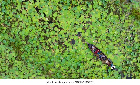 Naryanganj, Bangladesh- July 24,2020: Aerial View Of Passenger In Wooden Row Boat Floating Over Water Lily Plants Lake