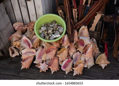 Nassau/Bahamas - February 17, 2020 - Empty Conch Shells For Sale At A Tourist Stall At The Straw Market.  Local Cuisine Of Conch Salad Provides A Plentiful Supply Of Empty Shells