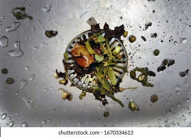 Nasty Clogged Strainer In Sink, Wet Rest Of The Vegetables In Waste, Bad Hygiene. Sprouted Green Beans And Slime In Sink.