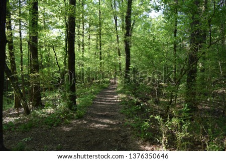 Natchez Trace National Scenic Trail in Mississippi