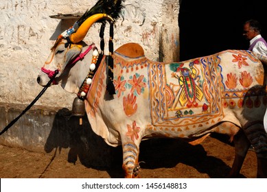Nathdwara, Rajasthan, India- Nov, 2007 : Painting of hindu God Shrinathji on Divine cow body ; horn decorated with peacock feather ; Hindu belief to worship cow, temple dedicated to Shrinathji
