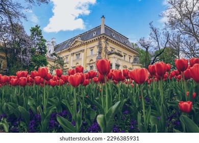 National Art Gallery(former Royal palace) in Sofia, Bulgaria with tulips in the foreground. Sofia during spring time in May. Best time to visit Sofia, Bulgaria.
