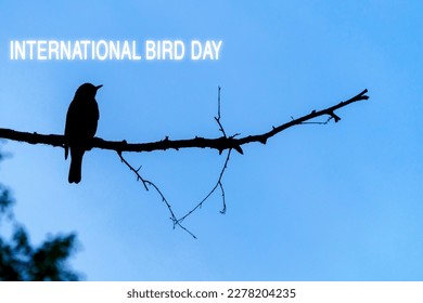 National bird day good for national bird day celebration. April 1st. Copy space - Powered by Shutterstock