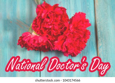 National Day Of The Doctor Of The USA. Carnation On A Blue Background Is A Symbol Of The Holiday