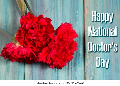 National Day Of The Doctor Of The USA. Carnation On A Blue Background Is A Symbol Of The Holiday