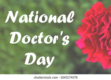 National Day Of The Doctor Of The USA. Carnation On A Blue Background Is A Symbol Of The Holiday