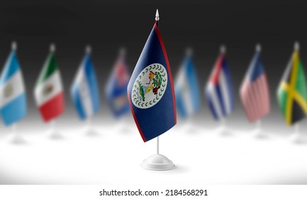 The national flag of the Belize on the background of flags of other countries