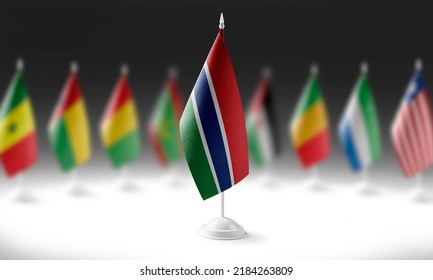 The national flag of the Gambia on the background of flags of other countries