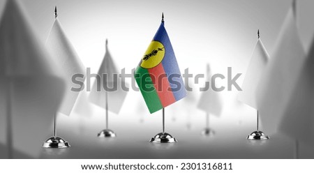 The national flag of the New Caledonia surrounded by white flags.