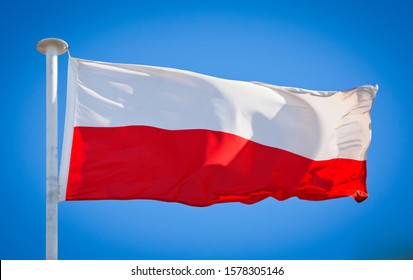 The national flag of Poland. Known as the Flag of the Republic of Poland. Polish flag blowing in strong wind against a pure blue sky. Symbol of national patriotism.
