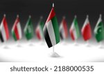 The national flag of the United Arab Emirates on the background of flags of other countries