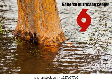 National Hurricane Center, Black Text, And A Red Tropical Storm Symbol, Near A Tree Trunk Submerged In Floodwater.