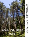 National Love a Tree Day May 16 16th. Towering everygreens pines white pine. Blue sky wooded woodland forest. Trees. Annual observance holiday event. Educate save enjoy appreciate appreciation.