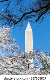 National Monument in Washington DC