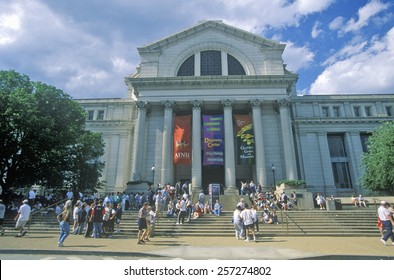 National Museum Of Natural History - Smithsonian Institution, Washington, DC